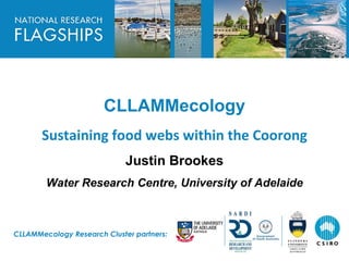 HEADLINE TO BE PLACED IN
THIS SPACE




                       CLLAMMecology
       Sustaining food webs within the Coorong
                             Justin Brookes
        Water Research Centre, University of Adelaide



CLLAMMecology Research Cluster partners:
 
