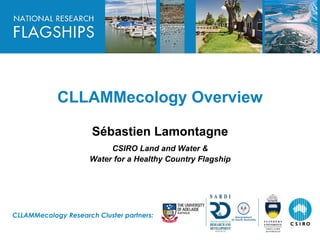 HEADLINE TO BE PLACED IN
THIS SPACE




            CLLAMMecology Overview

                      Sébastien Lamontagne
                          CSIRO Land and Water &
                     Water for a Healthy Country Flagship




CLLAMMecology Research Cluster partners:
 