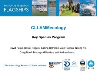 HEADLINE TO BE PLACED IN
THIS SPACE




                         CLLAMMecology

                          Key Species Program


     David Paton, Daniel Rogers, Sabine Dittmann, Alec Rolston, Qifeng Ye,
              Craig Noell, Bronwyn Gillanders and Andrew Munro




CLLAMMecology Research Cluster partners:
 