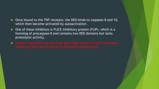  Once bound to the TNF receptor, the DED binds to caspases 8 and 10,
which then become activated by autoactivation .
 One of these inhibitors is FLICE inhibitory protein (FLIP), which is a
homolog of procaspase 8 and contains two DED domains but lacks
proteolytic activity.
 It been reported that CLL cells have high levels of FLIP expression,
rendering the cells resistant to DR-induced apoptosis.
 