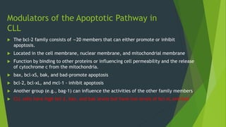 Modulators of the Apoptotic Pathway in
CLL
 The bcl-2 family consists of ∼20 members that can either promote or inhibit
apoptosis.
 Located in the cell membrane, nuclear membrane, and mitochondrial membrane
 Function by binding to other proteins or influencing cell permeability and the release
of cytochrome c from the mitochondria.
 bax, bcl-xS, bak, and bad-promote apoptosis
 bcl-2, bcl-xL, and mcl-1 - inhibit apoptosis
 Another group (e.g., bag-1) can influence the activities of the other family members.
 CLL cells have high bcl-2, bax, and bak levels but have low levels of bcl-xL and bad
 