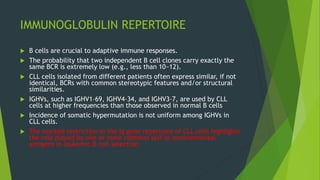 IMMUNOGLOBULIN REPERTOIRE
 B cells are crucial to adaptive immune responses.
 The probability that two independent B cell clones carry exactly the
same BCR is extremely low (e.g., less than 10−12).
 CLL cells isolated from different patients often express similar, if not
identical, BCRs with common stereotypic features and/or structural
similarities.
 IGHVs, such as IGHV1–69, IGHV4–34, and IGHV3–7, are used by CLL
cells at higher frequencies than those observed in normal B cells
 Incidence of somatic hypermutation is not uniform among IGHVs in
CLL cells.
 The marked restriction in the Ig gene repertoire of CLL cells highlights
the role played by one or more common self-or environmental
antigens in leukemic B cell selection
 
