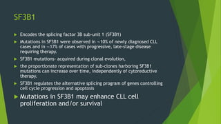 SF3B1
 Encodes the splicing factor 3B sub-unit 1 (SF3B1)
 Mutations in SF3B1 were observed in ∼10% of newly diagnosed CLL
cases and in ∼17% of cases with progressive, late-stage disease
requiring therapy.
 SF3B1 mutations- acquired during clonal evolution,
 the proportionate representation of sub-clones harboring SF3B1
mutations can increase over time, independently of cytoreductive
therapy.
 SF3B1 regulates the alternative splicing program of genes controlling
cell cycle progression and apoptosis
 Mutations in SF3B1 may enhance CLL cell
proliferation and/or survival
 