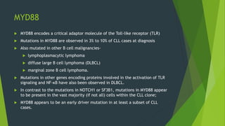 MYD88
 MYD88 encodes a critical adaptor molecule of the Toll-like receptor (TLR)
 Mutations in MYD88 are observed in 3% to 10% of CLL cases at diagnosis
 Also mutated in other B cell malignancies-
 lymphoplasmacytic lymphoma
 diffuse large B cell lymphoma (DLBCL)
 marginal zone B cell lymphoma.
 Mutations in other genes encoding proteins involved in the activation of TLR
signaling and NF-κB have also been observed in DLBCL.
 In contrast to the mutations in NOTCH1 or SF3B1, mutations in MYD88 appear
to be present in the vast majority (if not all) cells within the CLL clone;
 MYD88 appears to be an early driver mutation in at least a subset of CLL
cases.
 