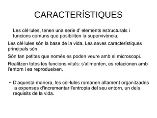 CARACTERÍSTIQUES
Les cèl·lules, tenen una serie d' elements estructurals i
funcions comuns que posibiliten la supervivència;
Les cèl·lules són la base de la vida. Les seves característiques
principals són:
Són tan petites que només es poden veure amb el microscopi.
Realitzen totes les funcions vitals: s'alimenten, es relacionen amb
l'entorn i es reprodueixen.
● D'aquesta manera, les cèl·lules romanen altament organitzades
a expenses d'incrementar l'entropia del seu entorn, un dels
requisits de la vida.
 