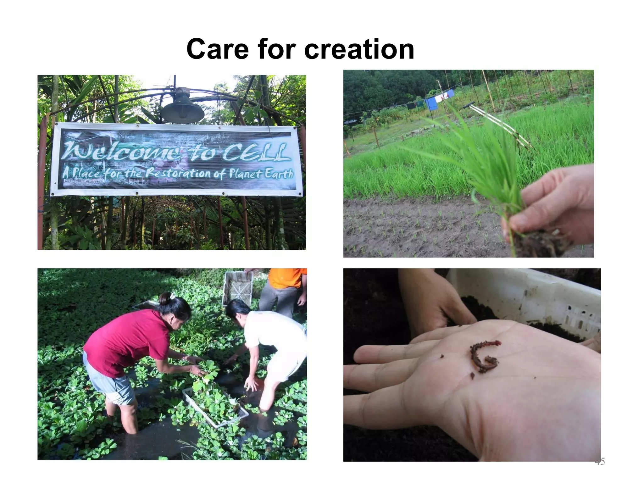 Care for creation 