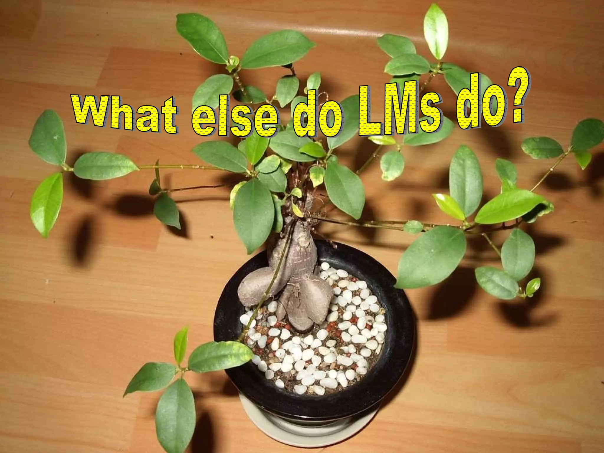 What else do LMs do? 