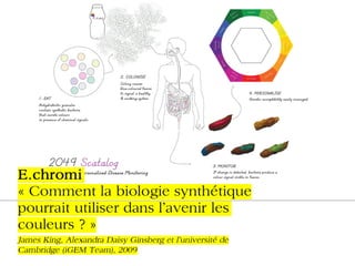 Un aperçu différent du design