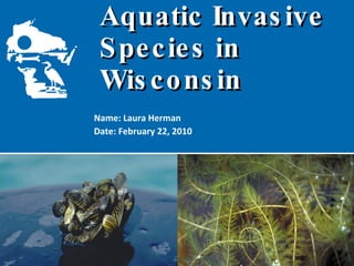 Aquatic Invasive  Species in Wisconsin Name: Laura Herman Date: February 22, 2010 