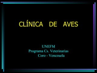 CLÍNICA DE AVES


          UNEFM
  Programa Cs. Veterinarias
        Coro - Venezuela
 