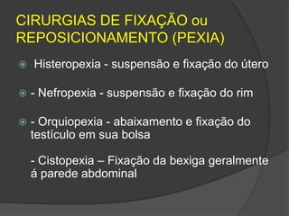 CIRURGIAS DE FIXAÇÃO ou
REPOSICIONAMENTO (PEXIA)


Histeropexia - suspensão e fixação do útero



- Nefropexia - suspensão e fixação do rim



- Orquiopexia - abaixamento e fixação do
testículo em sua bolsa
- Cistopexia – Fixação da bexiga geralmente
á parede abdominal

 