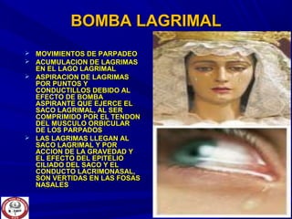 BOMBA LAGRIMALBOMBA LAGRIMAL
 MOVIMIENTOS DE PARPADEOMOVIMIENTOS DE PARPADEO
 ACUMULACION DE LAGRIMASACUMULACION DE LAGRIMAS
EN EL LAGO LAGRIMALEN EL LAGO LAGRIMAL
 ASPIRACION DE LAGRIMASASPIRACION DE LAGRIMAS
POR PUNTOS YPOR PUNTOS Y
CONDUCTILLOS DEBIDO ALCONDUCTILLOS DEBIDO AL
EFECTO DE BOMBAEFECTO DE BOMBA
ASPIRANTE QUE EJERCE ELASPIRANTE QUE EJERCE EL
SACO LAGRIMAL, AL SERSACO LAGRIMAL, AL SER
COMPRIMIDO POR EL TENDONCOMPRIMIDO POR EL TENDON
DEL MUSCULO ORBICULARDEL MUSCULO ORBICULAR
DE LOS PARPADOSDE LOS PARPADOS
 LAS LAGRIMAS LLEGAN ALLAS LAGRIMAS LLEGAN AL
SACO LAGRIMAL Y PORSACO LAGRIMAL Y POR
ACCION DE LA GRAVEDAD YACCION DE LA GRAVEDAD Y
EL EFECTO DEL EPITELIOEL EFECTO DEL EPITELIO
CILIADO DEL SACO Y ELCILIADO DEL SACO Y EL
CONDUCTO LACRIMONASAL,CONDUCTO LACRIMONASAL,
SON VERTIDAS EN LAS FOSASSON VERTIDAS EN LAS FOSAS
NASALESNASALES
 