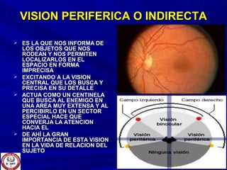 VISION PERIFERICA O INDIRECTAVISION PERIFERICA O INDIRECTA
 ES LA QUE NOS INFORMA DEES LA QUE NOS INFORMA DE
LOS OBJETOS QUE NOSLOS OBJETOS QUE NOS
RODEAN Y NOS PERMITENRODEAN Y NOS PERMITEN
LOCALIZARLOS EN ELLOCALIZARLOS EN EL
ESPACIO EN FORMAESPACIO EN FORMA
IMPRECISAIMPRECISA
 EXCITANDO A LA VISIONEXCITANDO A LA VISION
CENTRAL QUE LOS BUSCA YCENTRAL QUE LOS BUSCA Y
PRECISA EN SU DETALLEPRECISA EN SU DETALLE
 ACTUA COMO UN CENTINELAACTUA COMO UN CENTINELA
QUE BUSCA AL ENEMIGO ENQUE BUSCA AL ENEMIGO EN
UNA AREA MUY EXTENSA Y ALUNA AREA MUY EXTENSA Y AL
PERCIBIRLO EN UN SECTORPERCIBIRLO EN UN SECTOR
ESPECIAL HACE QUEESPECIAL HACE QUE
CONVERJA LA ATENCIONCONVERJA LA ATENCION
HACIA ELHACIA EL
 DE AHÍ LA GRANDE AHÍ LA GRAN
IMPORTANCIA DE ESTA VISIONIMPORTANCIA DE ESTA VISION
EN LA VIDA DE RELACION DELEN LA VIDA DE RELACION DEL
SUJETOSUJETO
 