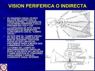  SU AGUDEZA VISUAL ES MUYSU AGUDEZA VISUAL ES MUY
BAJA EN RELACION CON LABAJA EN RELACION CON LA
VISION CENTRAL, LLEGANDO ENVISION CENTRAL, LLEGANDO EN
LA EXTREMA PERIFERIA A SOLOLA EXTREMA PERIFERIA A SOLO
PERCIBIR BULTOS Y LUZPERCIBIR BULTOS Y LUZ
 LA EXPRESION DE ESTA VISIONLA EXPRESION DE ESTA VISION
PERIFERICA SE DEMUESTRAPERIFERICA SE DEMUESTRA
CLINICAMENTE CON EL “CAMPOCLINICAMENTE CON EL “CAMPO
VISUAL”VISUAL”
 SE DICE QUE EL “CAMPO VISUAL”SE DICE QUE EL “CAMPO VISUAL”
ES UNA ISLA DE VISION EN UNES UNA ISLA DE VISION EN UN
MAR DE CEGUERA” PUES PORMAR DE CEGUERA” PUES POR
FUERA DE SUS LIMITES NOFUERA DE SUS LIMITES NO
PRECIBIMOS NADA A MENOS QUEPRECIBIMOS NADA A MENOS QUE
CAMBIEMOS LA FIJACIONCAMBIEMOS LA FIJACION
 LA FORMA DEL CAMPO ESLA FORMA DEL CAMPO ES
APROXIMADAMENTE CIRCULAR,APROXIMADAMENTE CIRCULAR,
PERO LA SALIENTE DE LAS CEJASPERO LA SALIENTE DE LAS CEJAS
Y NARIZ REDUCEN EL CONTORNOY NARIZ REDUCEN EL CONTORNO
HACIA ARRIBA Y HACIA ELHACIA ARRIBA Y HACIA EL
CUADRANTE NASAL INFERIORCUADRANTE NASAL INFERIOR
VISION PERIFERICA O INDIRECTAVISION PERIFERICA O INDIRECTA
 