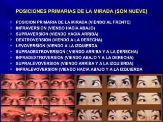 POSICIONES PRIMARIAS DE LA MIRADA (SON NUEVE)
 POSICION PRIMARIA DE LA MIRADA (VIENDO AL FRENTE)
 INFRAVERSION (VIENDO HACIA ABAJO)
 SUPRAVERSION (VIENDO HACIA ARRIBA)
 DEXTROVERSION (VIENDO A LA DERECHA)
 LEVOVERSION (VIENDO A LA IZQUIERDA
 SUPRADEXTROVERSION ( VIENDO ARRIBA Y A LA DERECHA)
 INFRADEXTROVERSION (VIENDO ABAJO Y A LA DERECHA)
 SUPRALEVOVERSION (VIENDO ARRIBA Y A LA IZQUIERDA)
 INFRALEVOVERSION (VIENDO HACIA ABAJO Y A LA IZQUIERDA
 