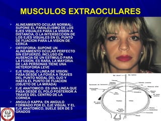 MUSCULOS EXTRAOCULARESMUSCULOS EXTRAOCULARES
 ALINEAMIENTO OCULAR NORMAL:ALINEAMIENTO OCULAR NORMAL:
SUPONE EL PARALELISMO DE LOSSUPONE EL PARALELISMO DE LOS
EJES VISUALES PARA LA VISION AEJES VISUALES PARA LA VISION A
DISTANCIA, O LA INTERSECCION DEDISTANCIA, O LA INTERSECCION DE
LOS EJES VISUALES EN EL PUNTOLOS EJES VISUALES EN EL PUNTO
DE FIJACION PARA LA VISION DEDE FIJACION PARA LA VISION DE
CERCACERCA
 ORTOFORIA: SUPONE UNORTOFORIA: SUPONE UN
ALINEAMIENTO OCULAR PERFECTOALINEAMIENTO OCULAR PERFECTO
SIN ESFUERZO, INCLUSO ENSIN ESFUERZO, INCLUSO EN
AUSENCIA DE UN ESTIMULO PARAAUSENCIA DE UN ESTIMULO PARA
LA FUSION, ES RARA, LA MAYORIALA FUSION, ES RARA, LA MAYORIA
DE LAS PERSONAS TIENE UNADE LAS PERSONAS TIENE UNA
HETEROFORIA LEVEHETEROFORIA LEVE
 EJE VISUAL O LINEA DE VISION:EJE VISUAL O LINEA DE VISION:
PASA DESDE LA FOVEA A TRAVESPASA DESDE LA FOVEA A TRAVES
DEL PUNTO NODAL DEL OJO YDEL PUNTO NODAL DEL OJO Y
HASTA EL PUNTO DE FIJACIONHASTA EL PUNTO DE FIJACION
(OBJETO DE LA MIRADA)(OBJETO DE LA MIRADA)
 EJE ANATOMICO: ES UNA LINEA QUEEJE ANATOMICO: ES UNA LINEA QUE
PASA DESDE EL POLO POSTERIOR APASA DESDE EL POLO POSTERIOR A
TRAVES DEL CENTRO DE LATRAVES DEL CENTRO DE LA
CORNEACORNEA
 ANGULO KAPPA: EN ANGULOANGULO KAPPA: EN ANGULO
FORMADO POR EL EJE VISUAL Y ELFORMADO POR EL EJE VISUAL Y EL
EJE ANATOMICO, SUELE SER DE 5EJE ANATOMICO, SUELE SER DE 5
GRADOSGRADOS
 