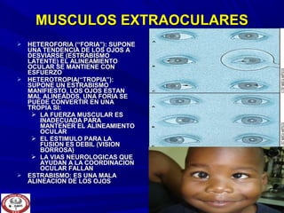  HETEROFORIA (“FORIA”): SUPONEHETEROFORIA (“FORIA”): SUPONE
UNA TENDENCIA DE LOS OJOS AUNA TENDENCIA DE LOS OJOS A
DESVIARSE (ESTRABISMODESVIARSE (ESTRABISMO
LATENTE) EL ALINEAMIENTOLATENTE) EL ALINEAMIENTO
OCULAR SE MANTIENE CONOCULAR SE MANTIENE CON
ESFUERZOESFUERZO
 HETEROTROPIA(“TROPIA”):HETEROTROPIA(“TROPIA”):
SUPONE UN ESTRABISMOSUPONE UN ESTRABISMO
MANIFIESTO, LOS OJOS ESTANMANIFIESTO, LOS OJOS ESTAN
MAL ALINEADOS, UNA FORIA SEMAL ALINEADOS, UNA FORIA SE
PUEDE CONVERTIR EN UNAPUEDE CONVERTIR EN UNA
TROPIA SI:TROPIA SI:
 LA FUERZA MUSCULAR ESLA FUERZA MUSCULAR ES
INADECUADA PARAINADECUADA PARA
MANTENER EL ALINEAMIENTOMANTENER EL ALINEAMIENTO
OCULAROCULAR
 EL ESTIMULO PARA LAEL ESTIMULO PARA LA
FUSION ES DEBIL (VISIONFUSION ES DEBIL (VISION
BORROSA)BORROSA)
 LA VIAS NEUROLOGICAS QUELA VIAS NEUROLOGICAS QUE
AYUDAN A LA COORDINACIONAYUDAN A LA COORDINACION
OCULAR FALLANOCULAR FALLAN
 ESTRABISMO: ES UNA MALAESTRABISMO: ES UNA MALA
ALINEACION DE LOS OJOSALINEACION DE LOS OJOS
MUSCULOS EXTRAOCULARESMUSCULOS EXTRAOCULARES
 