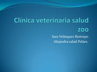 Sara Velásquez Restrepo
 Alejandra calad Peláez.
 