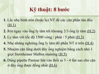 Kỹ thuật: 8 bước
1. Lắc nhẹ bình nón (hoặc lọ) NT để các cặn phân tán đều
(H.1)
2. Rót ngay vào ống ly tâm tới khoảng 2/3 ống ly tâm (H.2)
3. Ly tâm với tốc độ 1500 vòng / phút / 5 phút (H.3)
4. Nhẹ nhàng nghiêng ống ly tâm đổ phần NT ở trên (H.4)
5. Nhuộm cặn lắng dưới đáy ống nghiệm bằng cách nhỏ 1
giọt Sternheiner Malbin staining (H.5)
6. Dùng pipette Pasteur hút vào thổi ra 3 - 4 lần sao cho cặn
ở đáy ống được đồng nhất (H.6)
 