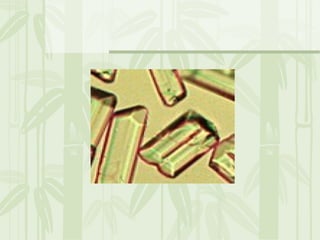 Cặn lắng nước tiểu