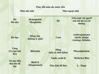 Thay đổi màu sắc nước tiểu
Màu nội sinh Màu ngoại sinh
Đỏ
Đỏ nâu
Hemoglobin
Myoglobin
Đỏ
Trên một vài người
sau khi ăn củ cải
đường
Đỏ đục
Hồng cầu
(không ly giải)
Cam
Anthraquinones
(thuốc nhuận
trường), Rifadin.
Vàng
(Có bọt khi
lắc)
Bilirubin
Hồng
(nếu có tính kiềm)
Phenolphtalein
Từ nâu đến
đen khi để
lâu
Bệnh lý
Alkaptonuria
Xanh, xanh lá Methylen Blue
Nâu (khi để lâu) L - Dopa
 