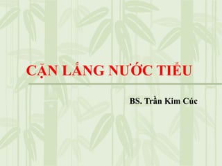 CẶN LẮNG NƯỚC TIỂU
BS. Trần Kim Cúc
 