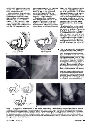 Cloacal malformation.full