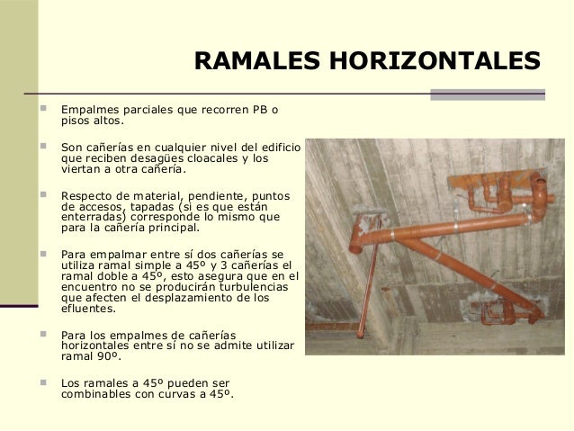 Cloacal presentacion
