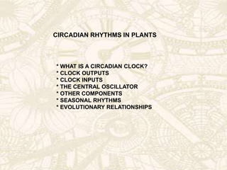 CIRCADIAN RHYTHMS IN PLANTS
* WHAT IS A CIRCADIAN CLOCK?
* CLOCK OUTPUTS
* CLOCK INPUTS
* THE CENTRAL OSCILLATOR
* OTHER COMPONENTS
* SEASONAL RHYTHMS
* EVOLUTIONARY RELATIONSHIPS
 
