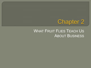 Chapter 2 What Fruit Flies Teach Us About Business 