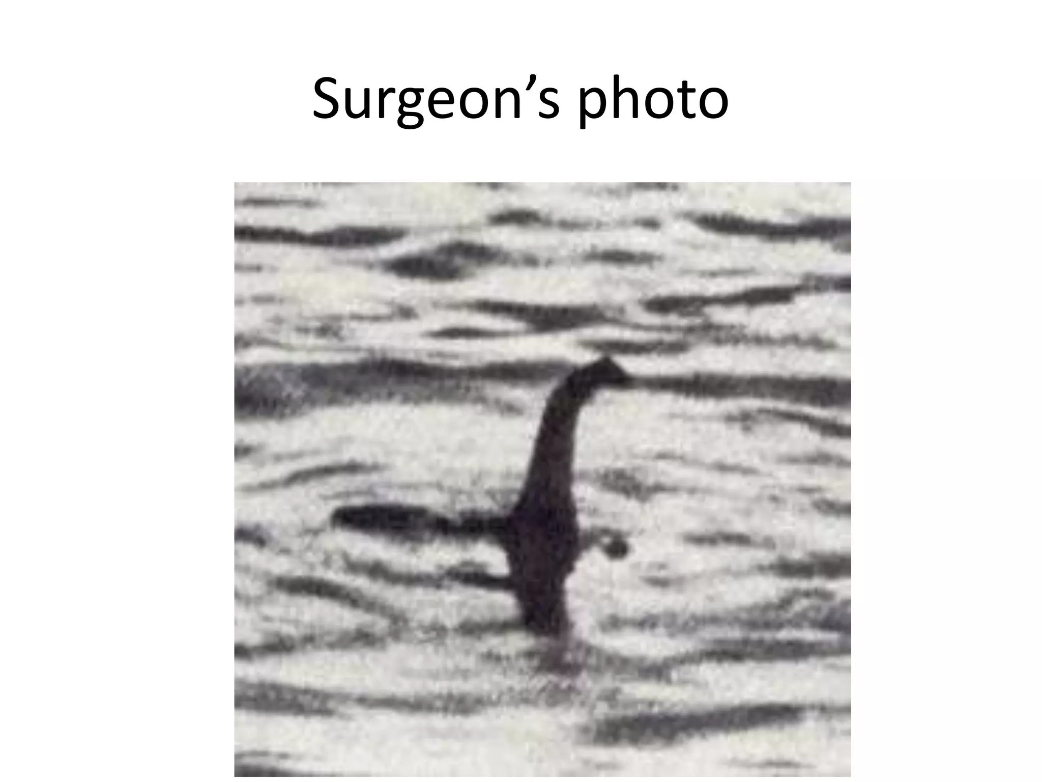 Surgeon’s photo