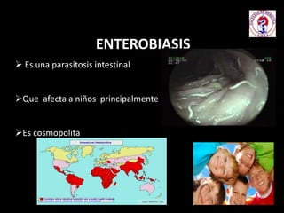 ENTEROBIASIS
 Es una parasitosis intestinal
Que afecta a niños principalmente
Es cosmopolita
 