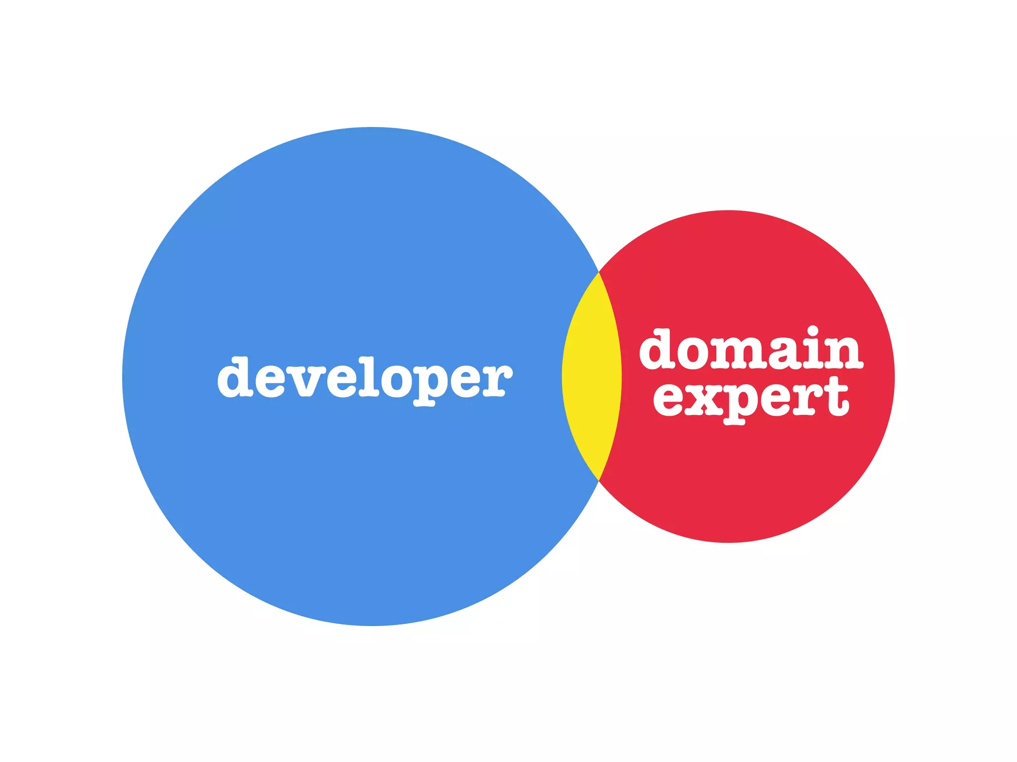 developer domain expert
