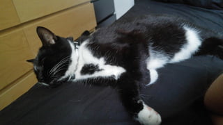 ClojureX Conference 2017 - 10 amazing years of Clojure