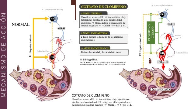 Clomifeno mais barato