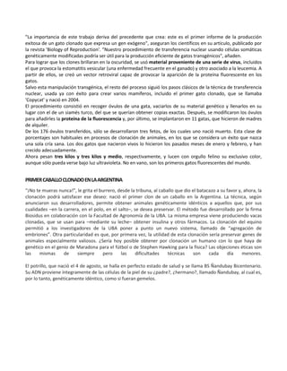 "La importancia de este trabajo deriva del precedente que crea: este es el primer informe de la producción
exitosa de un gato clonado que expresa un gen exógeno", aseguran los científicos en su artículo, publicado por
la revista 'Biology of Reproduction'. "Nuestro procedimiento de transferencia nuclear usando células somáticas
genéticamente modificadas podría ser útil para la producción eficiente de gatos transgénicos", añaden.
Para lograr que los clones brillaran en la oscuridad, se usó material proveniente de una serie de virus, incluidos
el que provoca la estomatitis vesicular (una enfermedad frecuente en el ganado) y otro asociado a la leucemia. A
partir de ellos, se creó un vector retroviral capaz de provocar la aparición de la proteína fluorescente en los
gatos.
Salvo esta manipulación transgénica, el resto del proceso siguió los pasos clásicos de la técnica de transferencia
nuclear, usada ya con éxito para crear varios mamíferos, incluido el primer gato clonado, que se llamaba
'Copycat' y nació en 2004.
El procedimiento consistió en recoger óvulos de una gata, vaciarlos de su material genético y llenarlos en su
lugar con el de un siamés turco, del que se querían obtener copias exactas. Después, se modificaron los óvulos
para añadirles la proteína de la fluorescencia y, por último, se implantaron en 11 gatas, que hicieron de madres
de alquiler.
De los 176 óvulos transferidos, sólo se desarrollaron tres fetos, de los cuales uno nació muerto. Esta clase de
porcentajes son habituales en procesos de clonación de animales, en los que se considera un éxito que nazca
una sola cría sana. Los dos gatos que nacieron vivos lo hicieron los pasados meses de enero y febrero, y han
crecido adecuadamente.
Ahora pesan tres kilos y tres kilos y medio, respectivamente, y lucen con orgullo felino su exclusivo color,
aunque sólo pueda verse bajo luz ultravioleta. No en vano, son los primeros gatos fluorescentes del mundo.


PRIMER CABALLO CLONADO EN LA ARGENTINA
“¡No te mueras nunca!”, le grita el burrero, desde la tribuna, al caballo que dio el batacazo a su favor y, ahora, la
clonación podrá satisfacer ese deseo: nació el primer clon de un caballo en la Argentina. La técnica, según
anunciaron sus desarrolladores, permite obtener animales genéticamente idénticos a aquellos que, por sus
cualidades –en la carrera, en el polo, en el salto–, se desea preservar. El método fue desarrollado por la firma
Biosidus en colaboración con la Facultad de Agronomía de la UBA. La misma empresa viene produciendo vacas
clonadas, que se usan para –mediante su leche– obtener insulina y otros fármacos. La clonación del equino
permitió a los investigadores de la UBA poner a punto un nuevo sistema, llamado de “agregación de
embriones”. Otra particularidad es que, por primera vez, la utilidad de esta clonación sería preservar genes de
animales especialmente valiosos. ¿Sería hoy posible obtener por clonación un humano con lo que haya de
genético en el genio de Maradona para el fútbol o de Stephen Hawking para la física? Las objeciones éticas son
las    mismas     de    siempre       pero    las     dificultades    técnicas    son     cada     día     menores.

El potrillo, que nació el 4 de agosto, se halla en perfecto estado de salud y se llama BS Ñandubay Bicentenario.
Su ADN proviene íntegramente de las células de la piel de su ¿padre?, ¿hermano?, llamado Ñandubay, al cual es,
por lo tanto, genéticamente idéntico, como si fueran gemelos.
 
