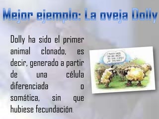Dolly ha sido el primer
animal clonado, es
decir, generado a partir
de       una      célula
diferenciada           o
somática, sin que
hubiese fecundación.
 
