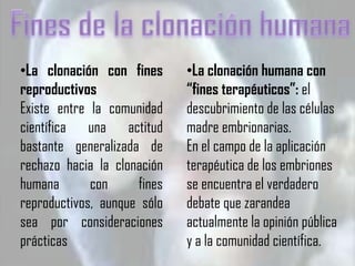 •La clonación con fines      •La clonación humana con
reproductivos                “fines terapéuticos”: el
Existe entre la comunidad    descubrimiento de las células
científica una actitud       madre embrionarias.
bastante generalizada de     En el campo de la aplicación
rechazo hacia la clonación   terapéutica de los embriones
humana       con     fines   se encuentra el verdadero
reproductivos, aunque sólo   debate que zarandea
sea por consideraciones      actualmente la opinión pública
prácticas                    y a la comunidad científica.
 