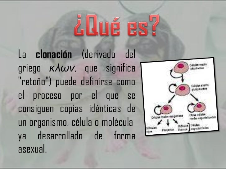 La Clonación y ejemplos.