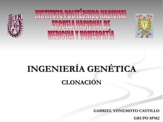 INGENIERÍA GENÉTICA CLONACIÓN GABRIEL YONEMOTO CASTILLO GRUPO 8PM2 INSTITUTO POLITÉCNICO NACIONAL ESCUELA NACIONAL DE  MEDICINA Y HOMEOPATÍA 