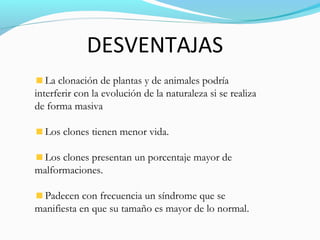 La clonación de plantas y de animales podría
interferir con la evolución de la naturaleza si se realiza
de forma masiva
Los clones tienen menor vida.
Los clones presentan un porcentaje mayor de
malformaciones.
Padecen con frecuencia un síndrome que se
manifiesta en que su tamaño es mayor de lo normal.
DESVENTAJAS
 