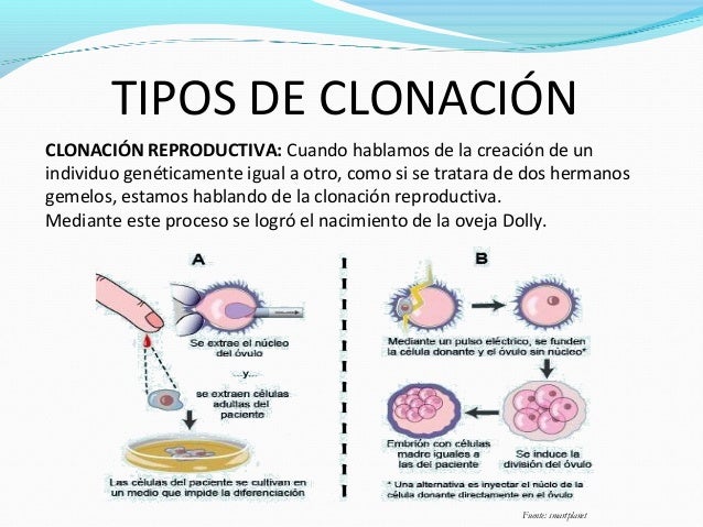 Clonación
