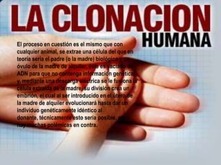 El proceso en cuestión es el mismo que con
cualquier animal, se extrae una célula del que en
teoría sería el padre (o la madre) biológico y un
óvulo de la madre de alquiler, éste es vaciado de
ADN para que no contenga información genética
y, mediante una descarga eléctrica se le fusiona la
célula extraída de la madre, su división crea un
embrión, el cual al ser introducido en el útero de
la madre de alquiler evolucionará hasta dar un
individuo genéticamente idéntico al
donante, técnicamente esto sería posible, pero
hay muchas polémicas en contra.
 