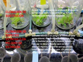 En este tipo de clonación se produciría la clonación
parcial de un tejido o una parte de un humano
necesaria para realizar un trasplante.
CLONACIÓN DE
SUSTITUCIÓN
CLONACIÓN DE
ESPECIES
EXTINTAS O EN
PELIGRO DE
EXTINCIÓN
Consiste en la congelación de células de
animales extintos o en peligro de extinción para
poder obtener, mas tarde, la secuencia de ADN
con la finalidad de clonar la especie, es todo un
reto, por no decir un sueño, pero se han
obtenido algunos indicios de que sea posible,
como en 2001 clonaron un gaur, que está en
peligro de extinción, pero murió a los dos día.
 