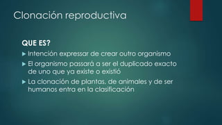 Clonación reproductiva 
QUE ES? 
 Intención expressar de crear outro organismo 
 El organismo passará a ser el duplicado exacto 
de uno que ya existe o existió 
 La clonación de plantas, de animales y de ser 
humanos entra en la clasificación 
 