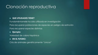 Clonación reproductiva 
 QUE UTILIDADES TIENE? 
Fundaméntamele ha sido utilizada en investigación 
Para recuperar poblaciones de especies en peligro de extinción 
Para recuperar especies distintas 
 Ejemplo: 
Variedad de cabra hispánica 
 EN EL FUTURO: 
Cría de animales genéticamente “únicos” 
 
