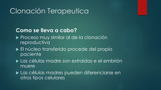 Clonación Terapeutica 
Como se lleva a cabo? 
 Proceso muy similar al de la clonación 
reproductiva 
 El núcleo transferido procede del propio 
paciente 
 Las células madre son extraídas e el embrión 
muere 
 Las células madres pueden diferenciarse en 
otros tipos celulares 
 