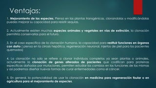 Ventajas: 
1. Mejoramiento de las especies. Piensa en las plantas transgénicas, clonandolas y modificándolas 
puedes mejorar su capacidad para resistir sequias. 
2. Actualmente existen muchas especies animales y vegetales en vías de extinción, la clonación 
permitiría conservarlas para el futuro. 
3. En el caso especifico de la clonación humana, la capacidad para restituir funciones en órganos 
con daño ( piensa en la cirrosis hepática, regeneración neuronal, injertos de piel para los pacientes 
quemados) 
4. La clonación no solo se refiere a clonar individuos completos ya sean plantas o animales, 
actualmente la clonación de genes alterados de pacientes que codifican para proteínas 
especificas dañadas por mutaciones, permiten estudiar los cambios en las funciones de las mismas 
y así podremos diseñar nuevas formas de curar enfermedades como el cáncer. 
5. En general, la potencialidad de usar la clonación en medicina para regeneración tisular o en 
agricultura para el mejoramiento de especies. 
 