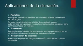 Aplicaciones de la clonación. 
 Medicina: 
Sirve para analizar los cambios de una célula cuando se convierte 
en cancerígena. 
También para introducir en el ADN de un animal un gen 
determinado para producir moléculas-medicamentos u órganos para 
ser trasplantados sin rechazo. 
 Ganadería: 
Permite la copia idéntica de un ejemplar que haya destacado por su 
rendimiento sin perder ninguna de sus características. 
 Conservación de especies: 
Para salvar especies en peligro de extinción y difíciles de criar en 
cautiverio. 
 