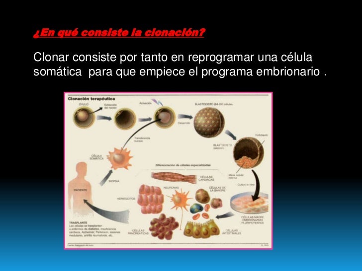 Clonación biologia